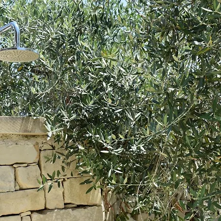 Li Ccoti