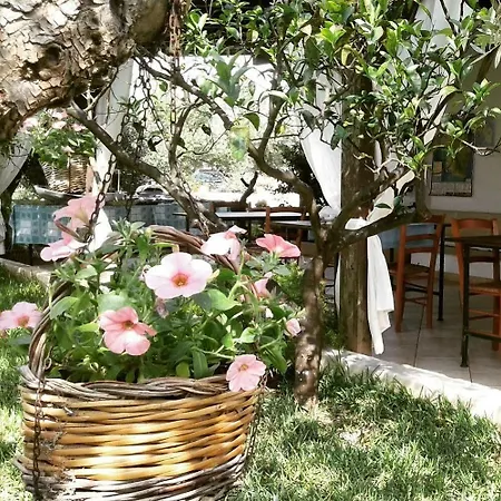 Alojamento de Acomodação e Pequeno-almoço Li Ccoti 4*