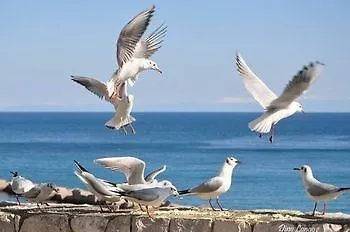 Nocleg ze śniadaniem Li Ccoti 4*