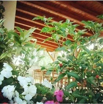 Nocleg ze śniadaniem Li Ccoti Cannole