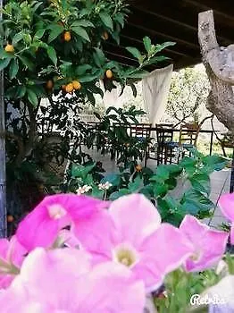 Nocleg ze śniadaniem Li Ccoti Cannole